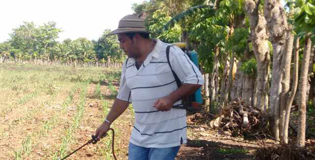 Fotos archivo EL HERALDO