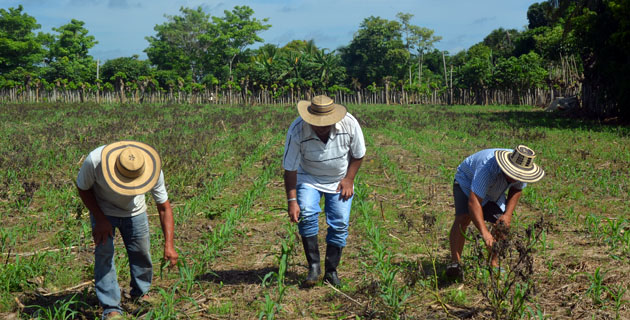 Fotos archivo EL HERALDO
