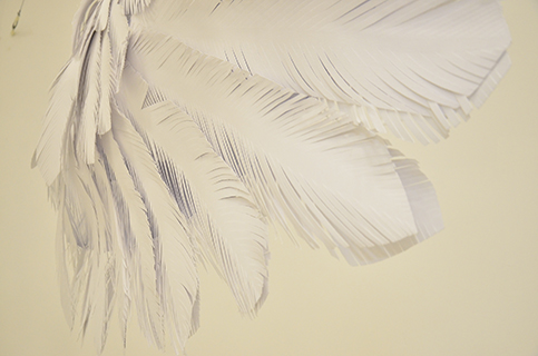 Fotos archivo EL HERALDO