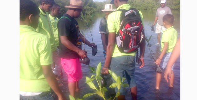 Fotos archivo EL HERALDO