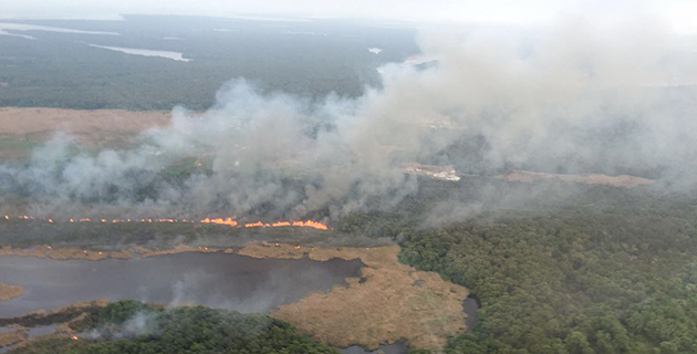 Fotos archivo EL HERALDO