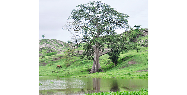 Fotos archivo EL HERALDO