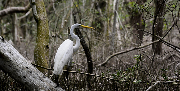 Fotos archivo EL HERALDO
