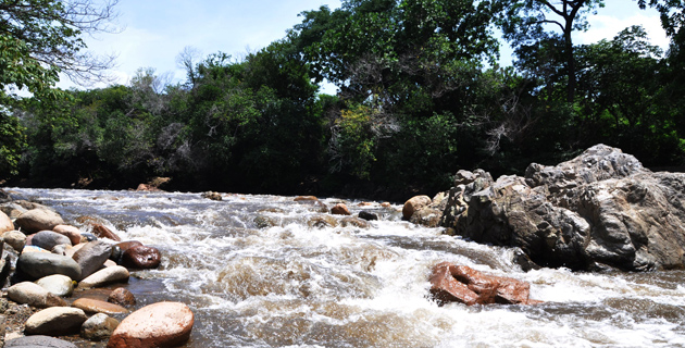 Fotos archivo EL HERALDO
