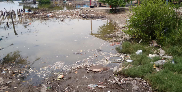 Fotos archivo EL HERALDO