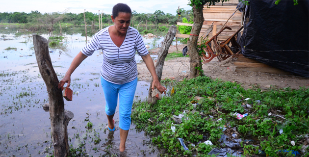 Fotos archivo EL HERALDO