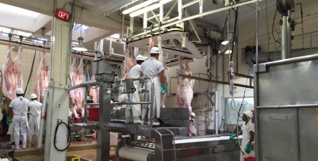 Fotos archivo EL HERALDO