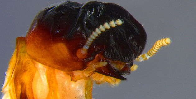 Fotos archivo EL HERALDO