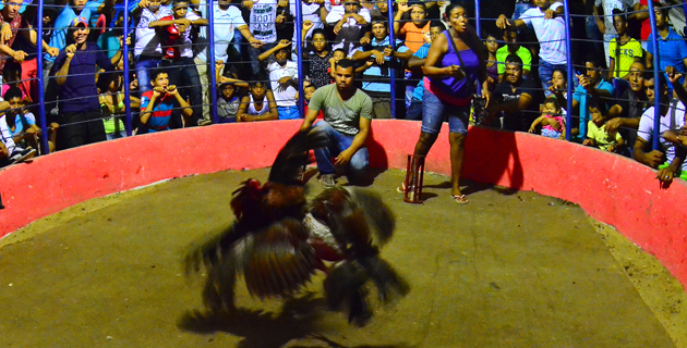 Fotos archivo EL HERALDO