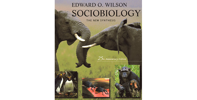 Fotos archivo EL HERALDO