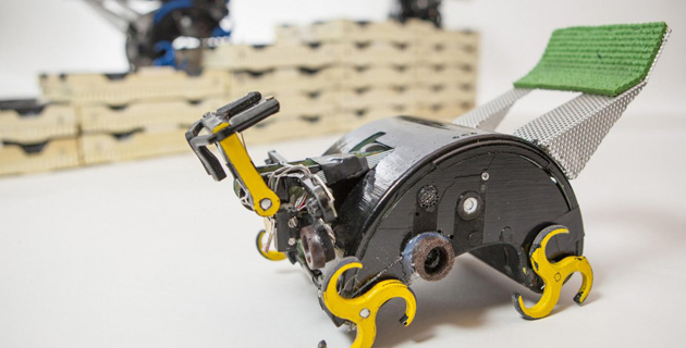 Fotos archivo EL HERALDO