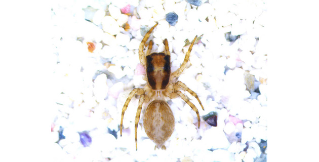 Fotos archivo EL HERALDO