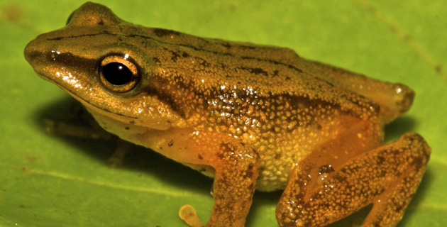 Fotos archivo EL HERALDO