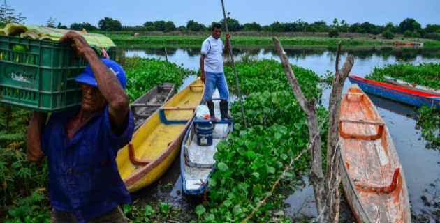 Fotos archivo EL HERALDO