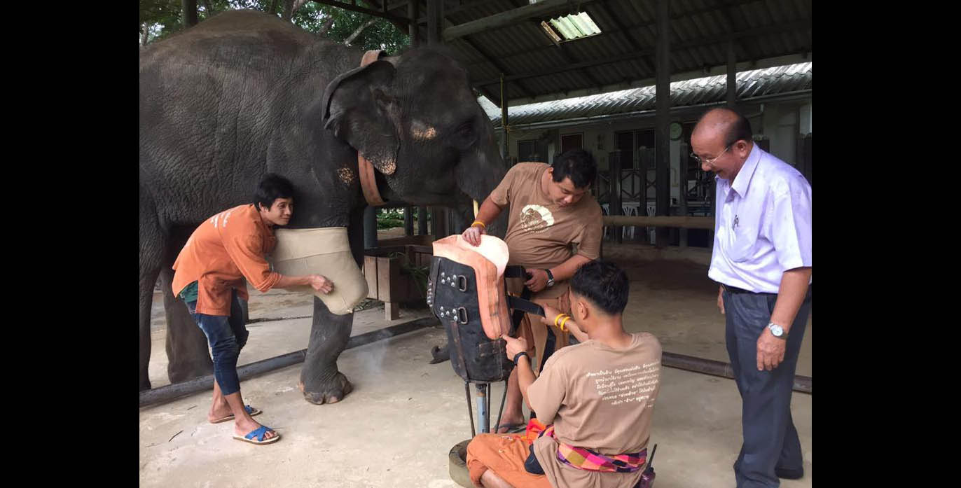 Fotos archivo EL HERALDO