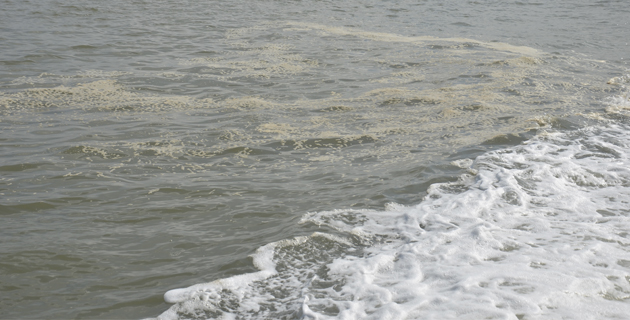 Fotos archivo EL HERALDO