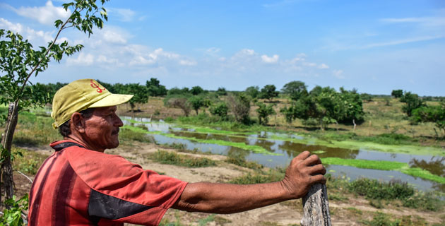 Fotos archivo EL HERALDO