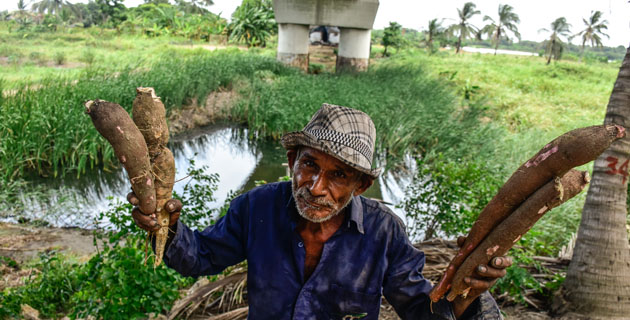 Fotos archivo EL HERALDO