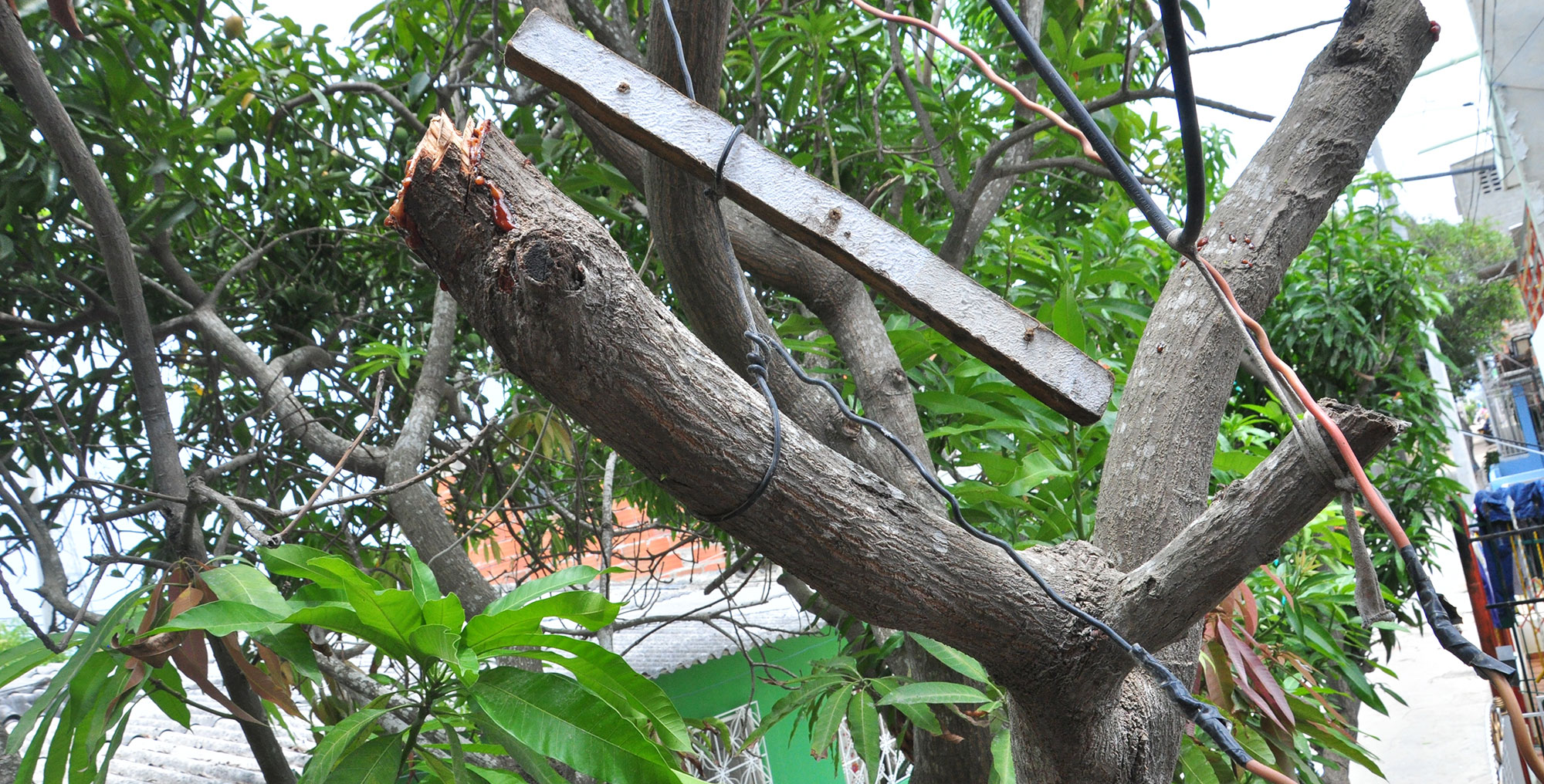 Fotos archivo EL HERALDO