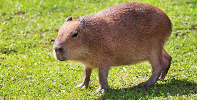 Fotos archivo EL HERALDO