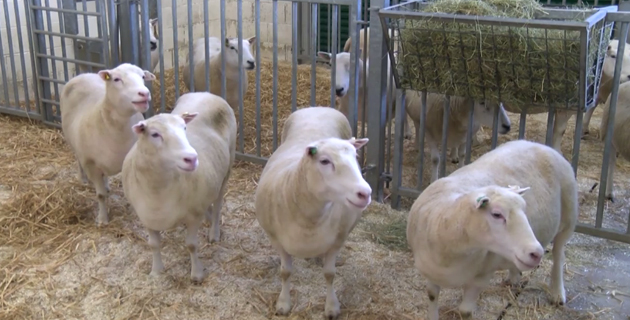 Fotos archivo EL HERALDO