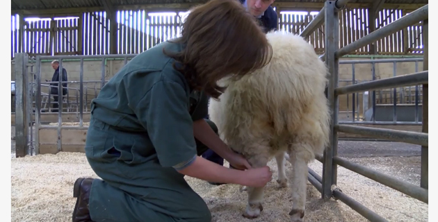 Fotos archivo EL HERALDO