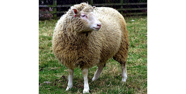 Fotos archivo EL HERALDO