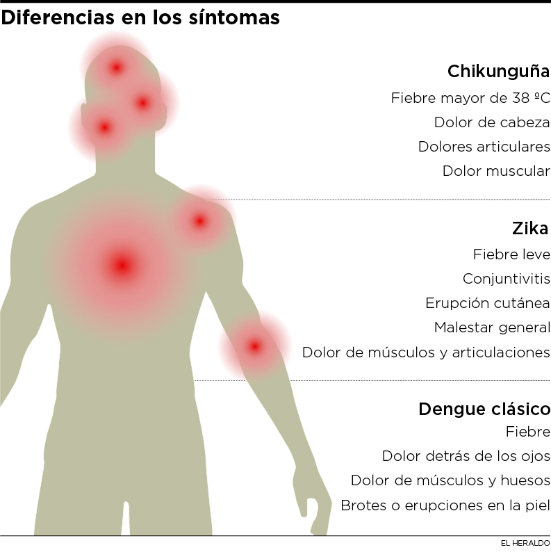 Fotos archivo EL HERALDO