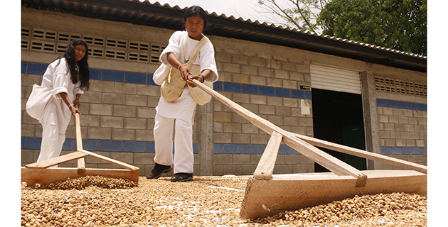 Fotos archivo EL HERALDO