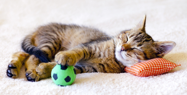 Fotos archivo EL HERALDO