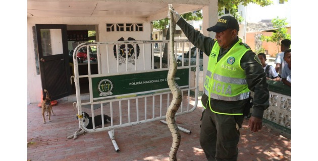 Fotos archivo EL HERALDO