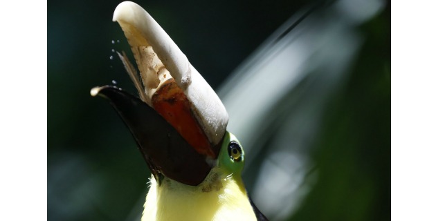 Fotos archivo EL HERALDO