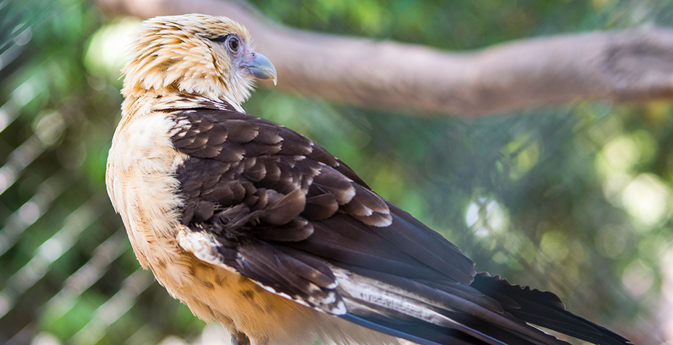 Fotos archivo EL HERALDO