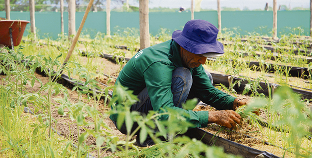 Fotos archivo EL HERALDO