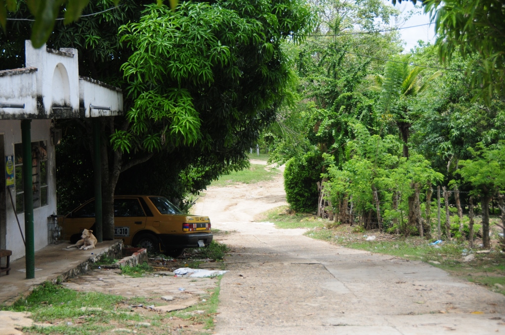 Fotos archivo EL HERALDO