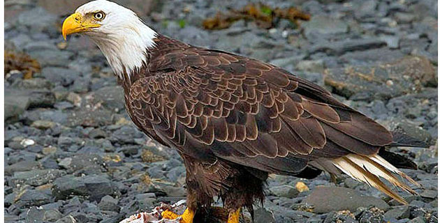 Fotos archivo EL HERALDO