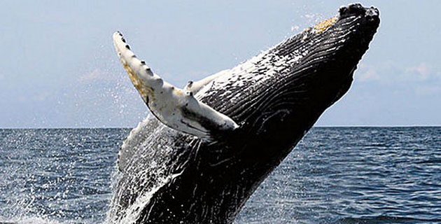 Fotos archivo EL HERALDO