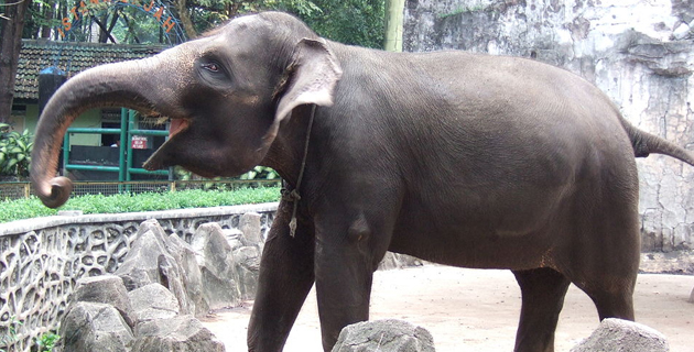 Fotos archivo EL HERALDO