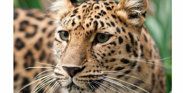 Fotos archivo EL HERALDO