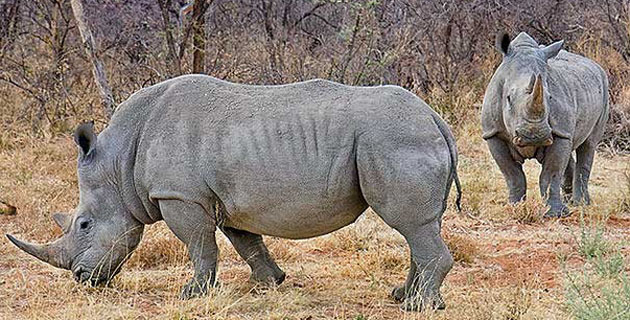 Fotos archivo EL HERALDO