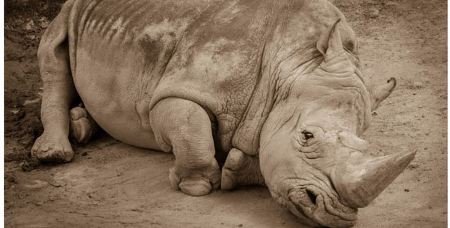 Fotos archivo EL HERALDO