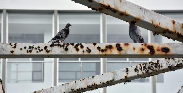 Fotos archivo EL HERALDO