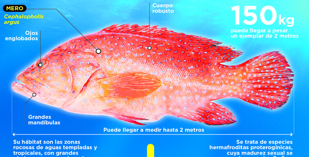 Fotos archivo EL HERALDO