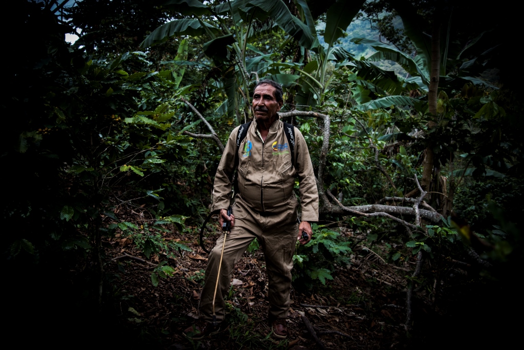 Fotos archivo EL HERALDO