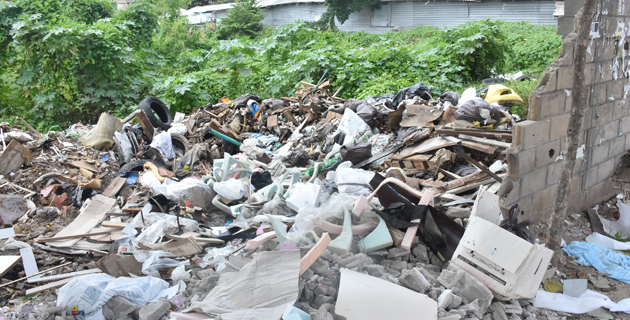 Fotos archivo EL HERALDO