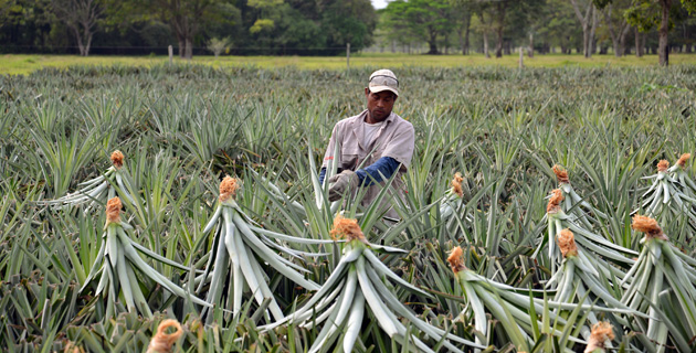 Fotos archivo EL HERALDO