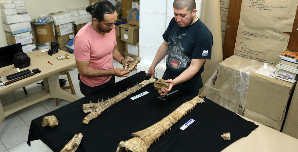 Fotos archivo EL HERALDO