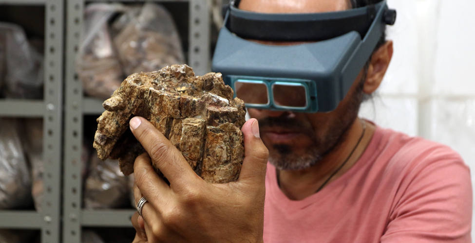 Fotos archivo EL HERALDO