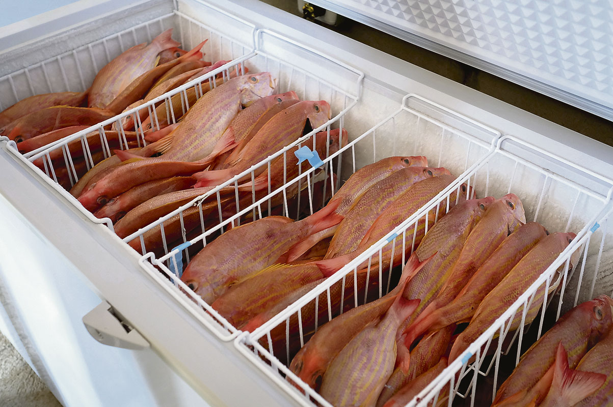 Fotos archivo EL HERALDO