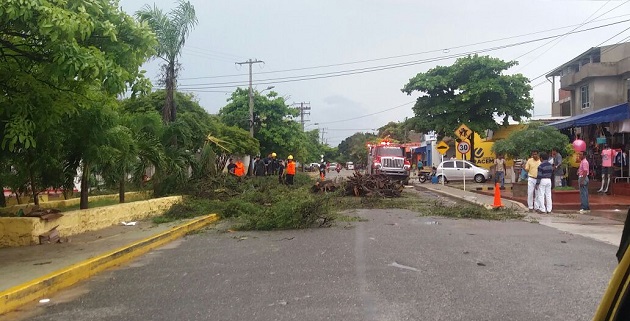 Fotos archivo EL HERALDO